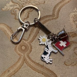 Limited swatch keychain